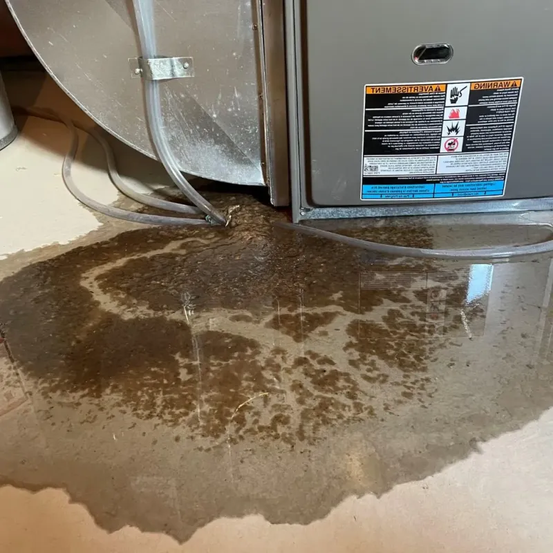 Pipe Burst and Leak Restoration in Jefferson County, OR