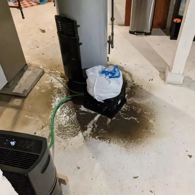 Sewage Backup Cleanup Service in Jefferson County, OR
